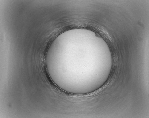 X0000116020029200911200948