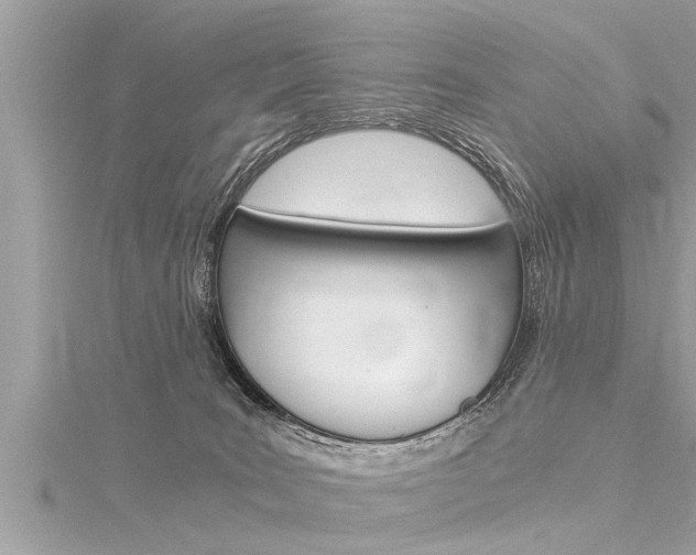 X0000116020035200911200948