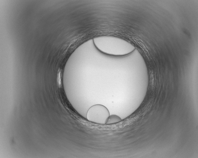 X0000116020042200911200948