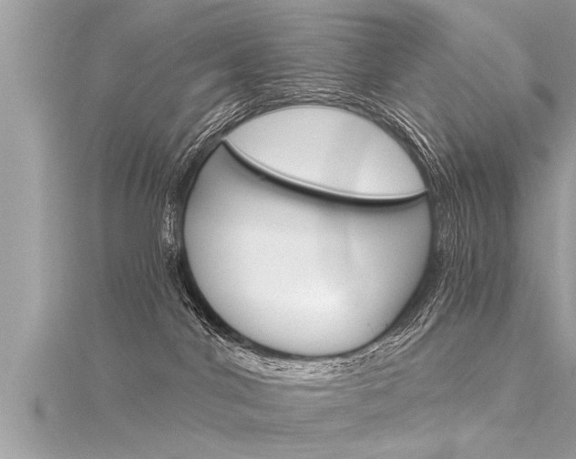 X0000116020044200911200948