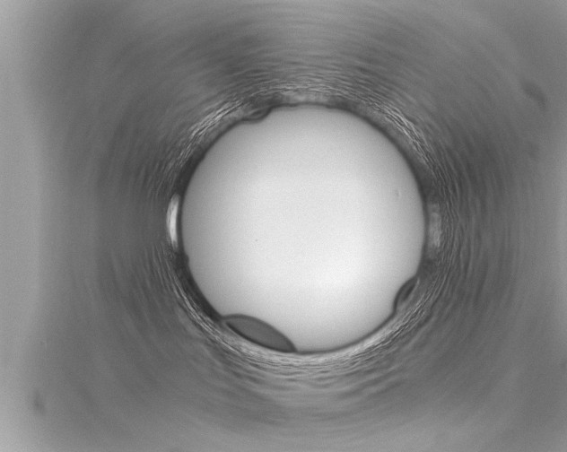 X0000116020047200911200948