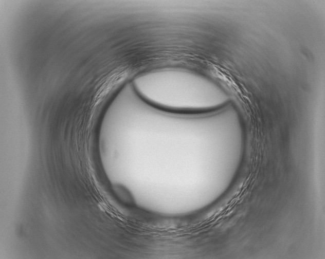 X0000116020049200911200947