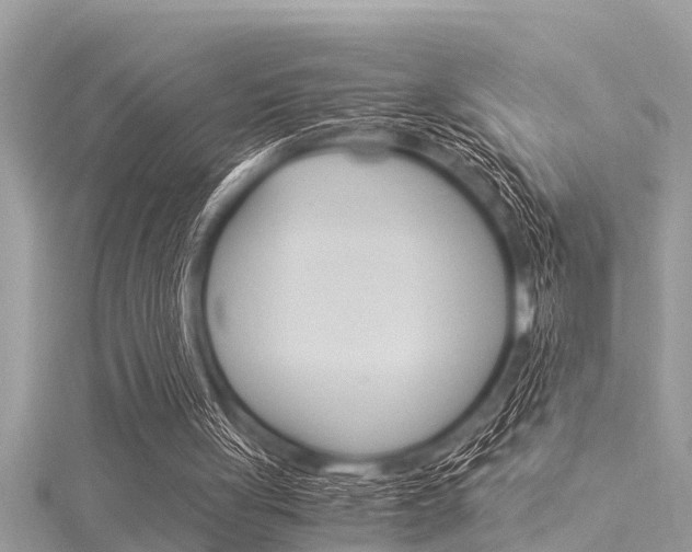 X0000116020051200911200948