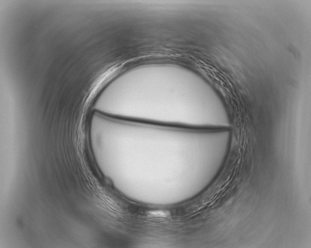 X0000116020053200911200948