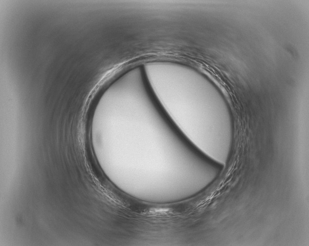 X0000116020055200911200948