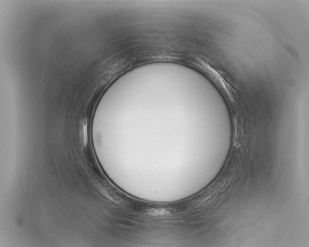 X0000116020061200911200948