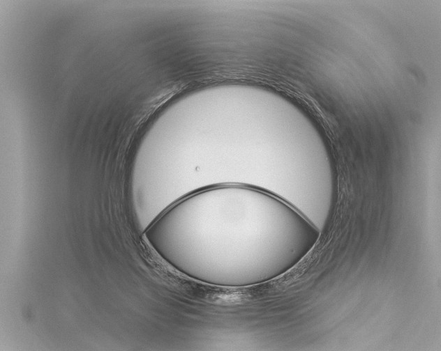 X0000116020068200911200948