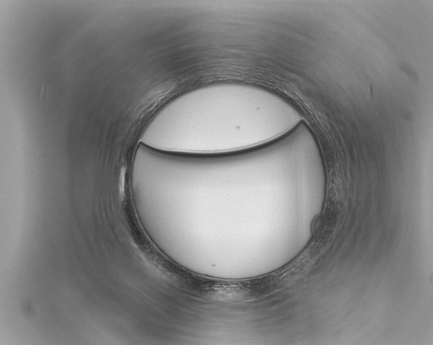 X0000116020070200911200948