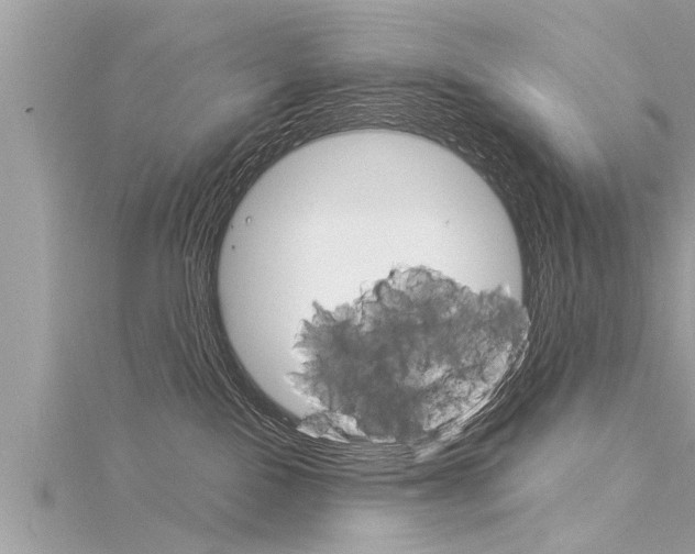 X0000116020090200911200948