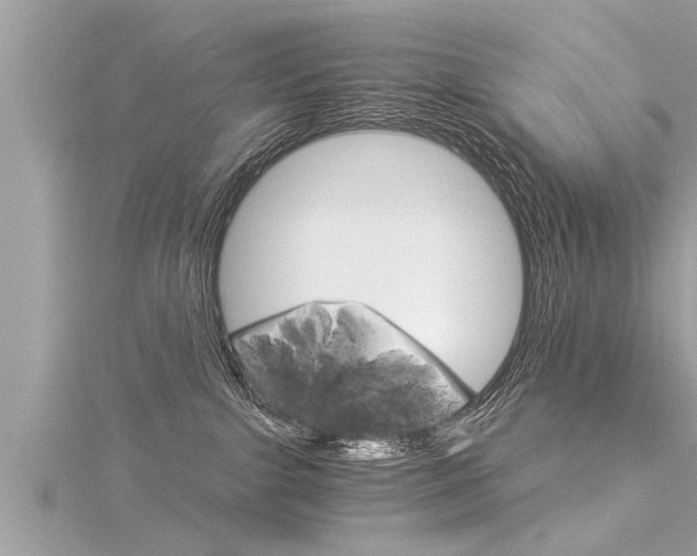 X0000116020091200911200948