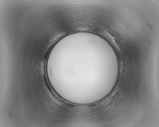 X0000116020106200911200947