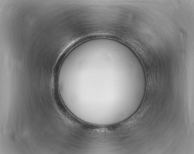 X0000116020112200911200947