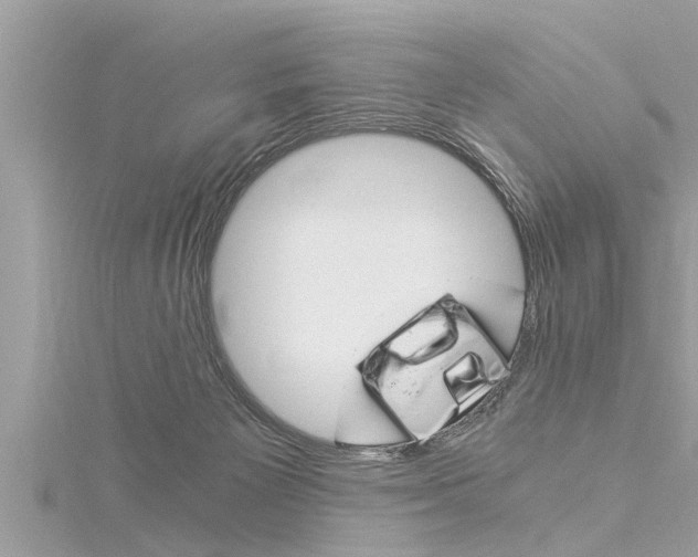 X0000116020125200911200947