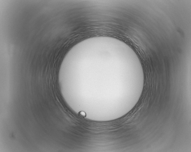 X0000116020129200911200947