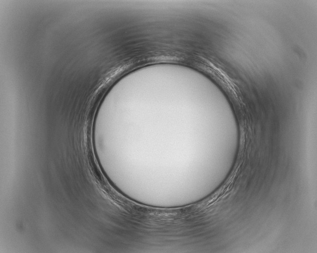 X0000116020155200911200946
