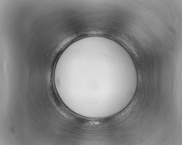 X0000116020159200911200946