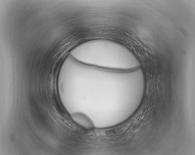 X0000116020194200911200946