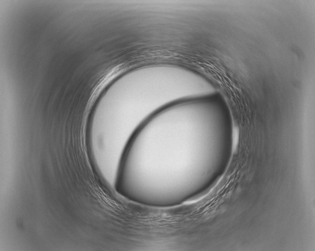 X0000116020195200911200946