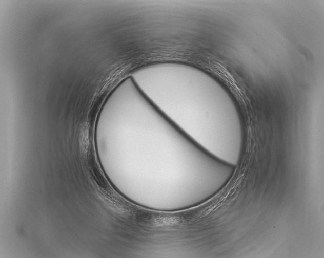 X0000116020202200911200946