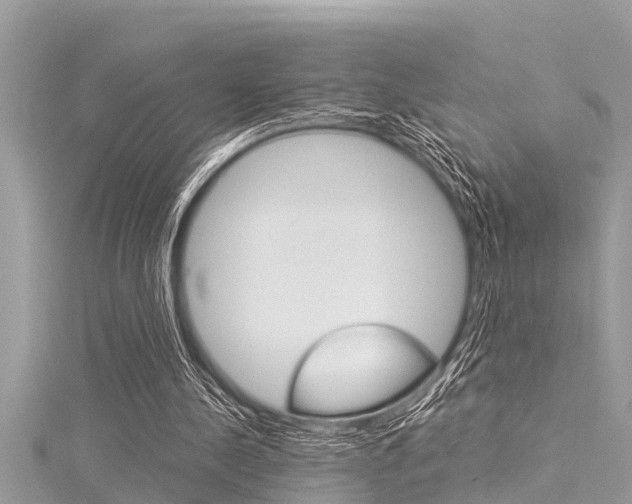 X0000116020244200911200945