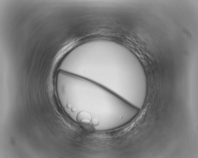 X0000116020245200911200945