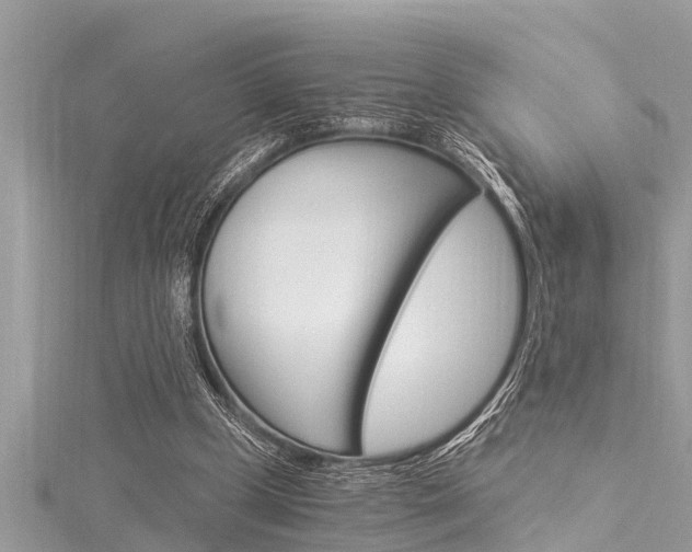 X0000116020249200911200945