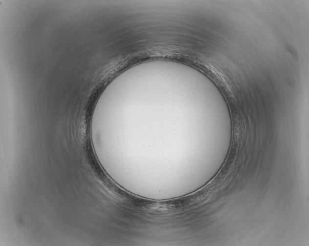 X0000116020261200911200945