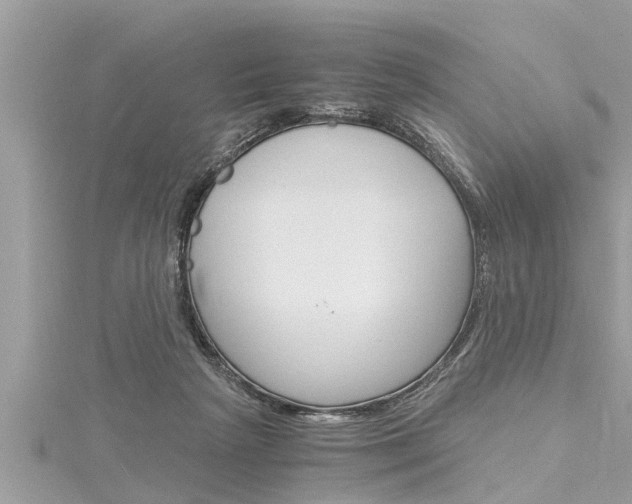 X0000116020265200911200945