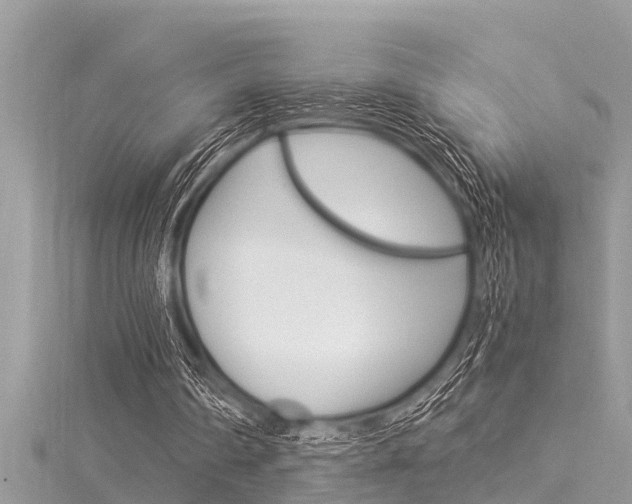 X0000116020290200911200945
