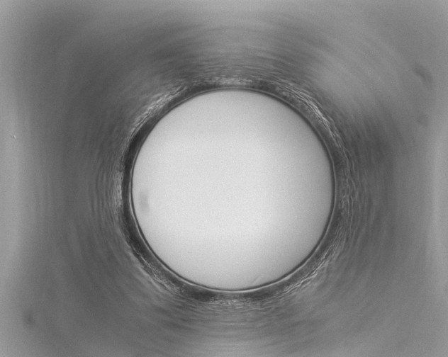 X0000116020299200911200945