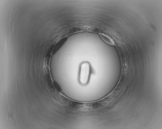 X0000116020320200911200944