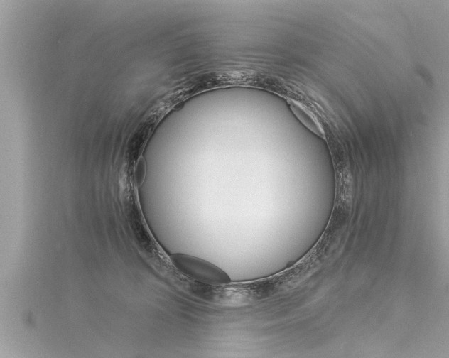 X0000116020324200911200944