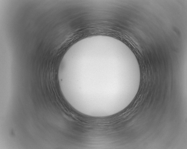 X0000116020328200911200944