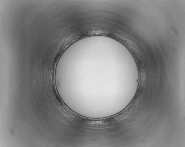 X0000116020361200911200944