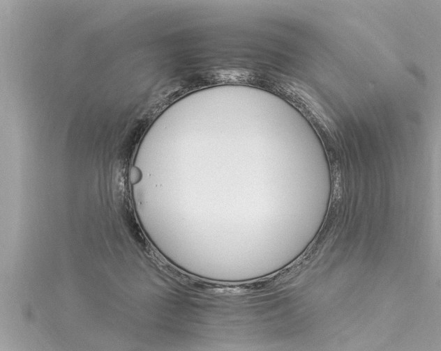 X0000116020363200911200944