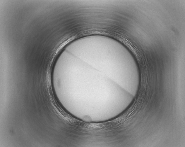 X0000116020390200911200944