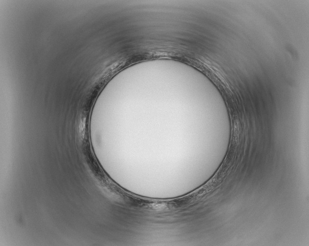X0000116020406200911200943