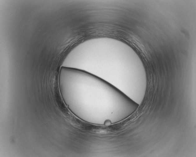 X0000116020412200911200943