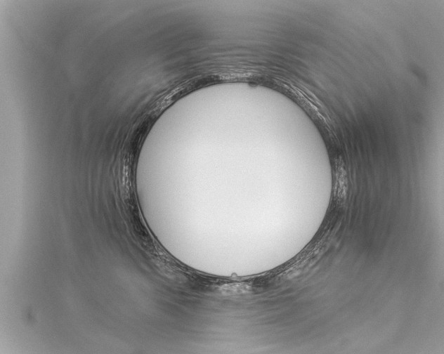 X0000116020426200911200943