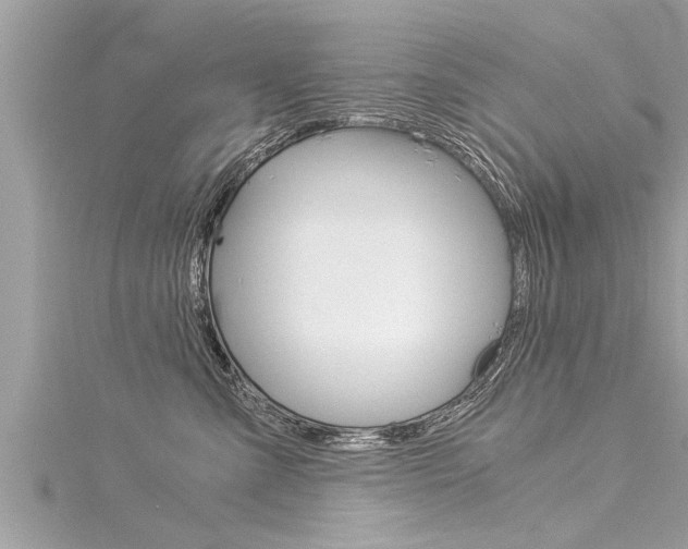 X0000116020427200911200943