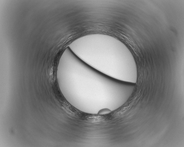 X0000116020428200911200943