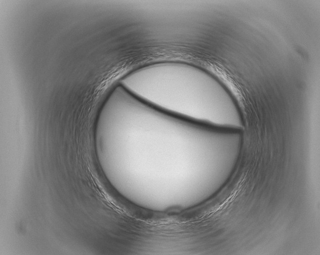 X0000116020433200911200942
