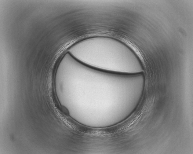 X0000116020437200911200942
