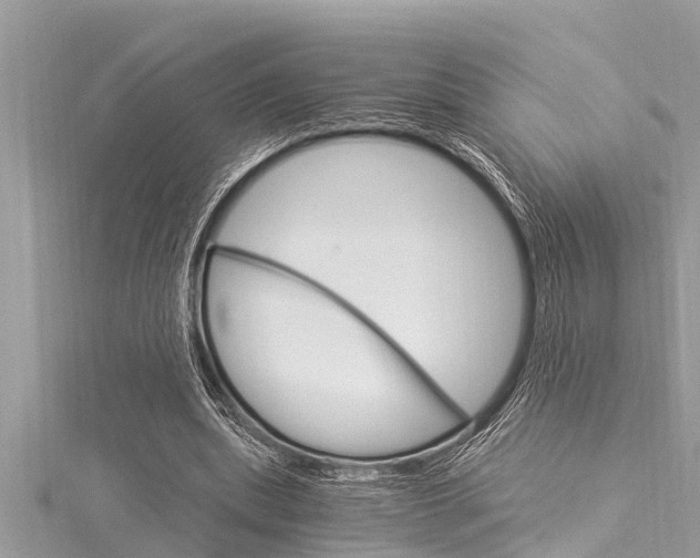 X0000116020439200911200942