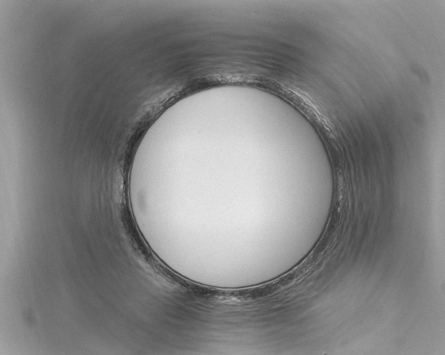 X0000116020453200911200943