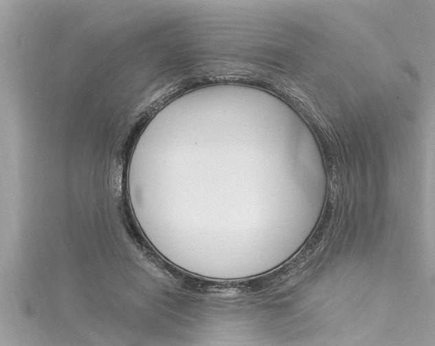 X0000116020454200911200943