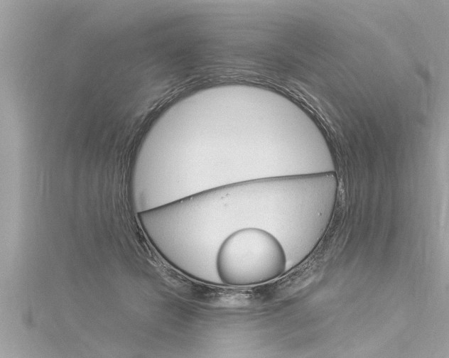 X0000116020462200911200943