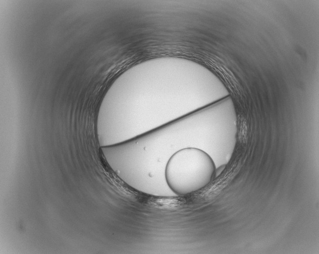 X0000116020478200911200943
