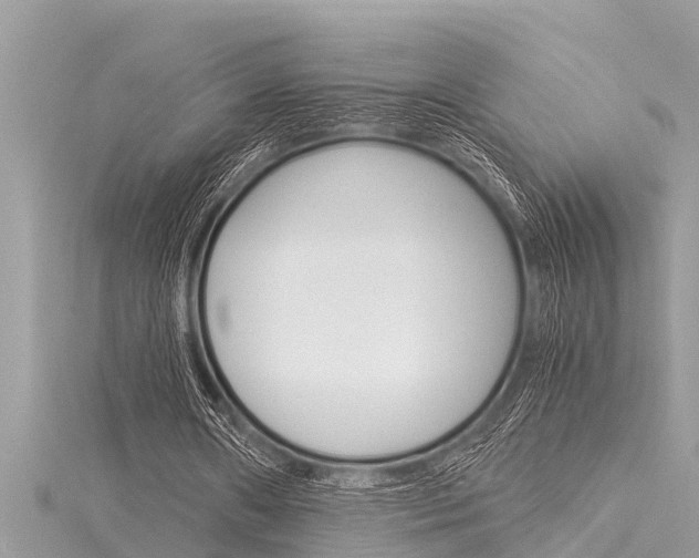 X0000116020482200911200942