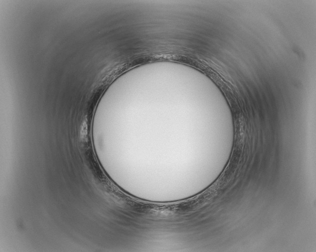 X0000116020502200911200942